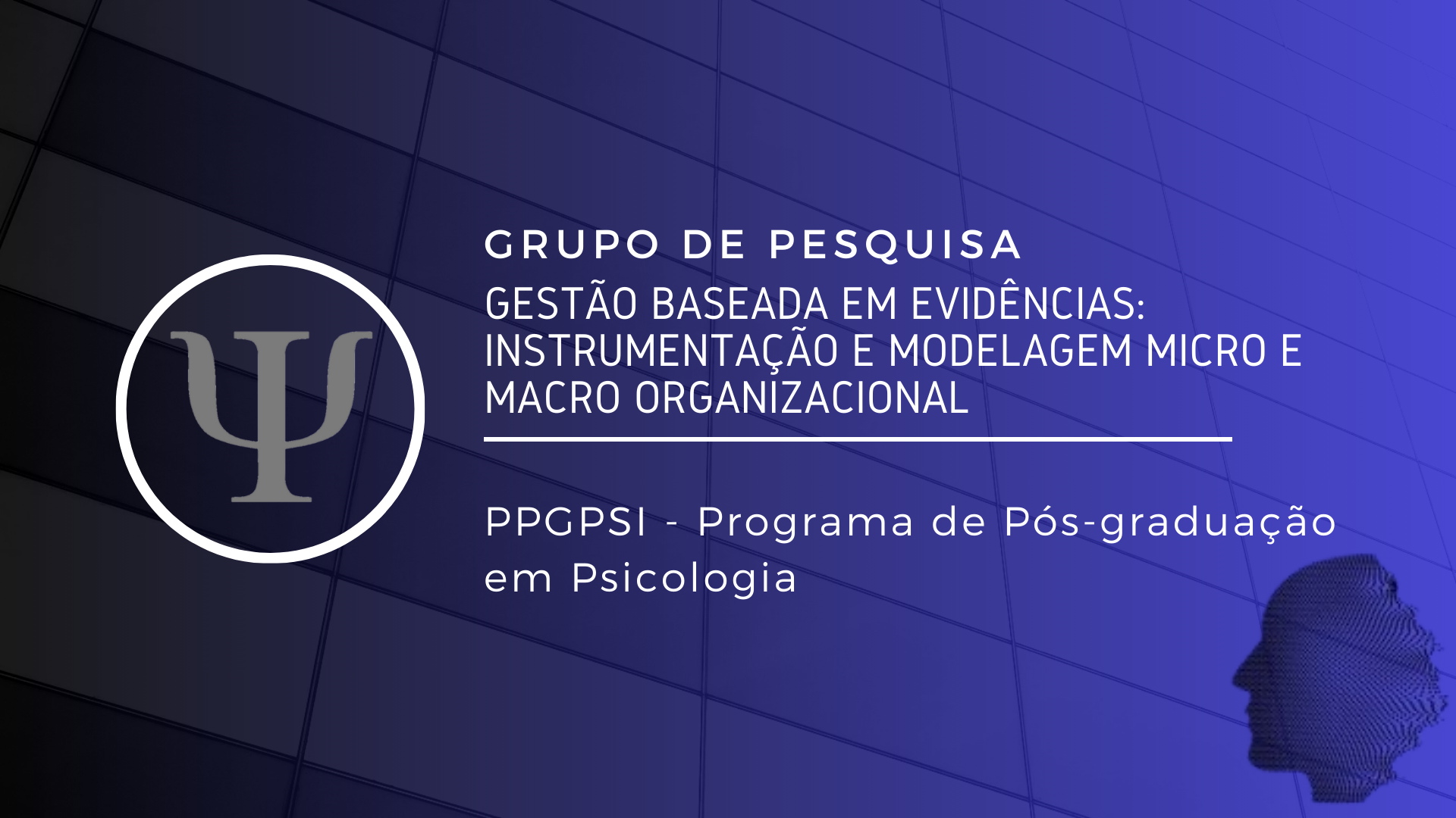 Gestão baseada em evidências: instrumentação e modelagem micro e macro organizacional